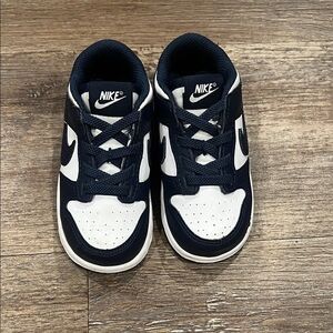 Navy and White Nike Dunks